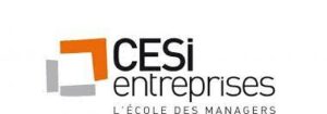 cesi ecole des managers